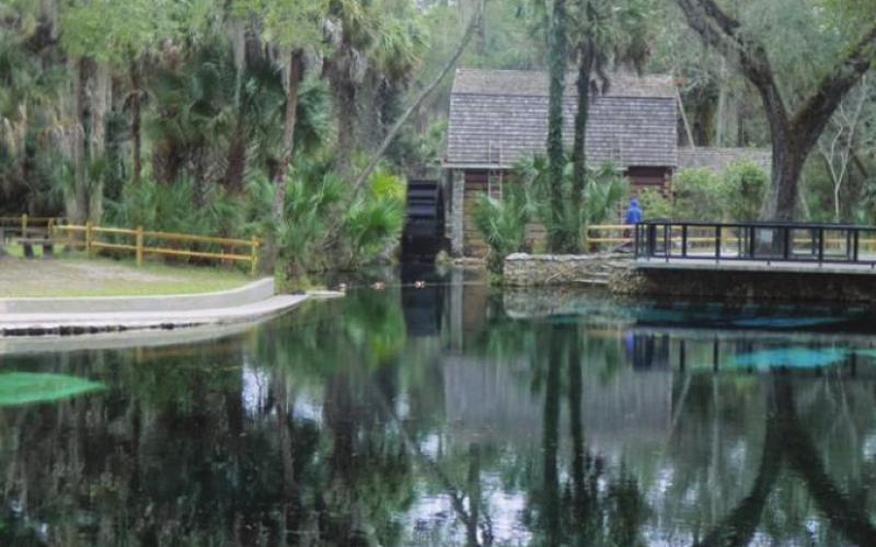 The water from Juniper Springs exits the pool via a waterwheel at the millhouse built by the CCC in 1936.