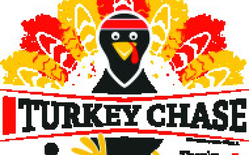 Alt Text for Image
