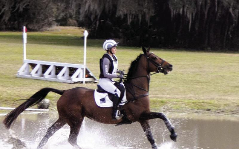 Some horses and riders seem to actually enjoy splashing through the water. The horse has to trust his rider because he cannot tell how deep the water is until already committed to the jump.