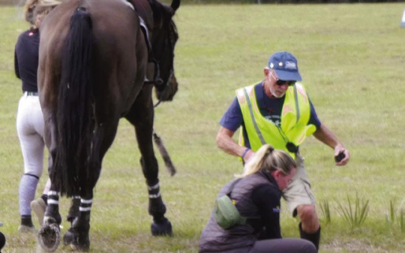 This year, another rider and horse went down at the water hole, but thanks to redesigned jumps, both were able to walk away.