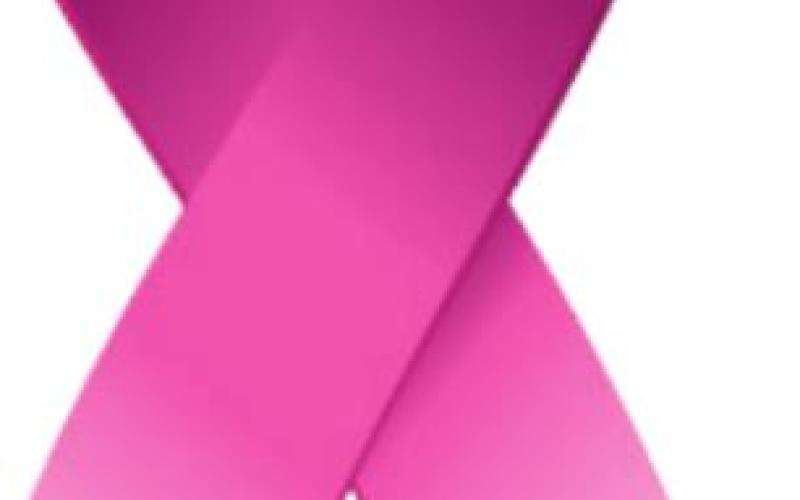 Alt Text for Image