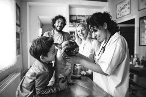 Lyme disease prevention 