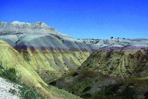 At Badlands, layers of sedimentary rock in various colors contain huge numbers of fossils. A trail leads past a slope where many are exposed.