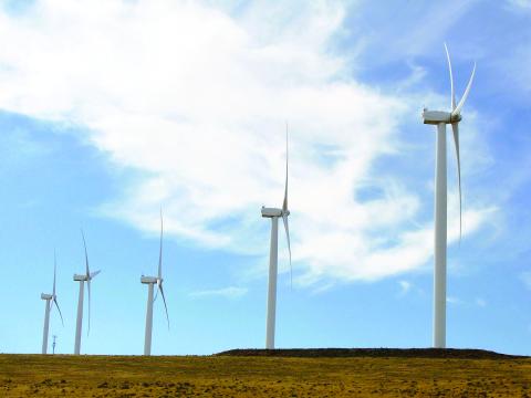Wind farms along the top of the bluffs take advantage of the way prevailing  westerlies are compressed and funneled up the Gorge.