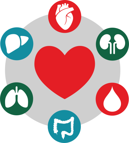 Organ donation