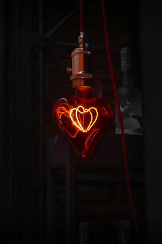 The heart connection 