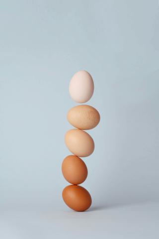 Eggs a good source of protein