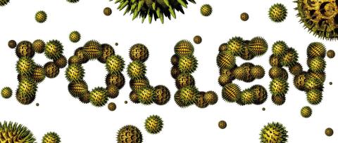 Alt Text for Image