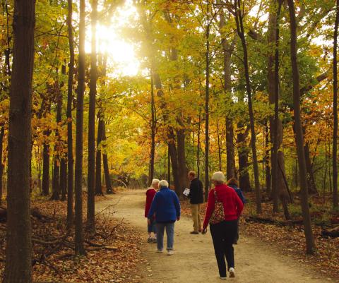 Jim Witter, Wood County Park District program manager, leads a group hike at W.W. Knight Nature Preserve.