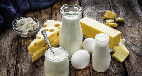 Dairy Foods 