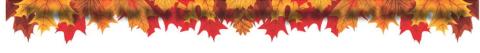 Alt Text for Image
