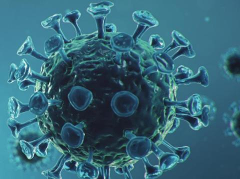 UTMC among first hospitals participating in national COVID-19 drug study