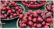 Benefits of Cherries 