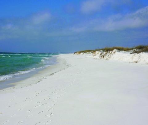 The gorgeous sand at Gulf Island National Seashore tends to close the park road when the wind picks up. They clear it with snow plows. This year they also needed to remove about eight inches of actual snow. Who woulda thunk it!