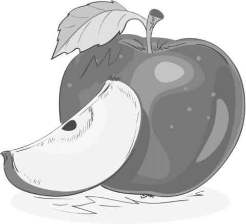 Alt Text for Image