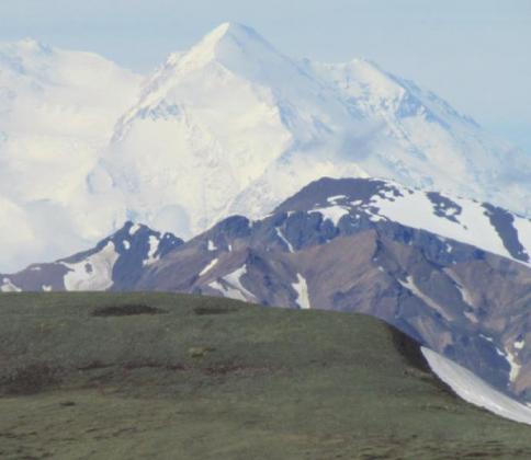 We had the luxury of waiting three days for a clear day to visit Mt. Denali. It is wrapped in clouds about 70% of the time.