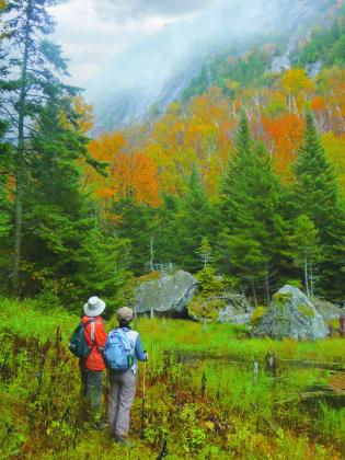 “Fall in the Adirondacks” by Lou McLove, Toledo