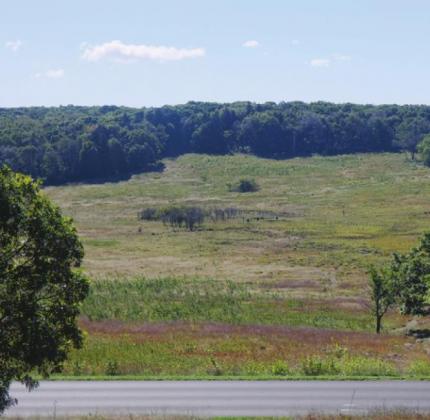 The Big Meadow, as seen from the visitor center, was probably created hundreds of years ago by Indian fires deliberately set to keep the space open for better hunting.