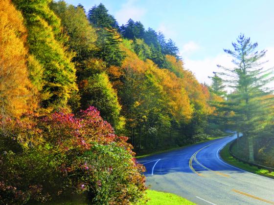 Fall is a wonderful time to tour the Smokies and the Blue Ridge. Spring ain’t so bad either.