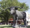 Dodge City grew up as a cow town in the Wild West and remains a center of beef production today.