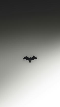 Dark Knight Unsplash image 