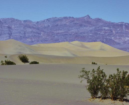 The sand dunes are about 150 feet high and constantly shifting in the swirling winds.