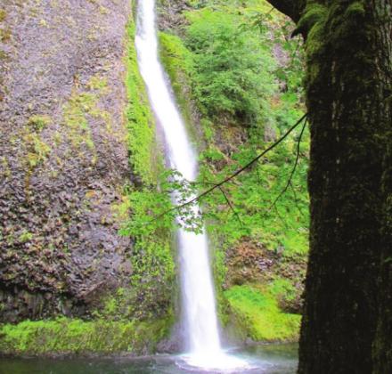 Horsetail Falls is a big favorite of those averse to hiking because it is just a few feet from the highway.