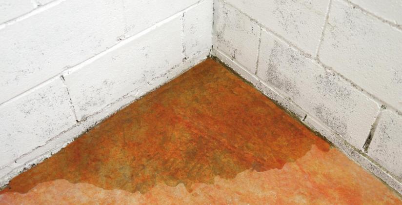 Damp Basements Pose Dangers Here S How, Is It Bad To Sleep In A Damp Basement