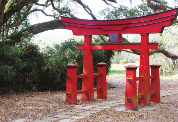 A torii gate marks the trail through the gardens to the Buddha.