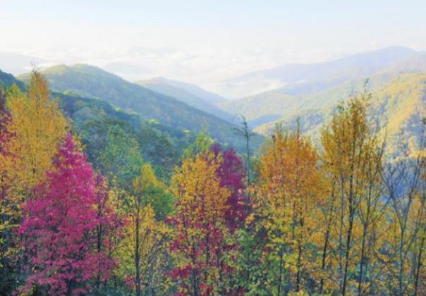 Fall arrives at different times in the Smokies depending on the elevation. Newfound Gap is almost 6,000 feet, so it comes sooner there. But spring comes later for the same reason.