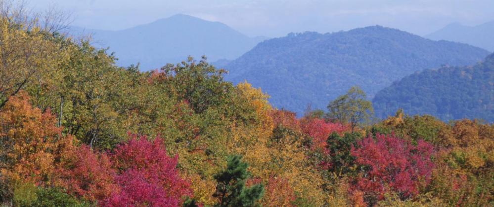 The Blue Ridge is crowded with leaf peepers every fall. Here’s why.