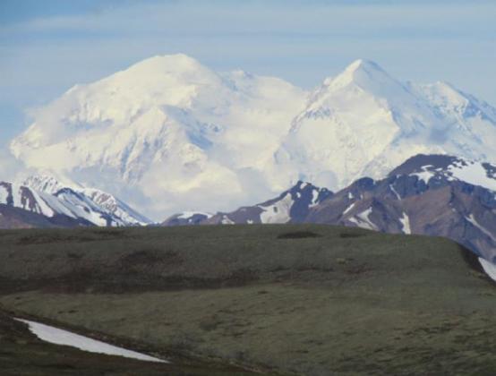 Denali towers over the mere 8,000 footers at its base.