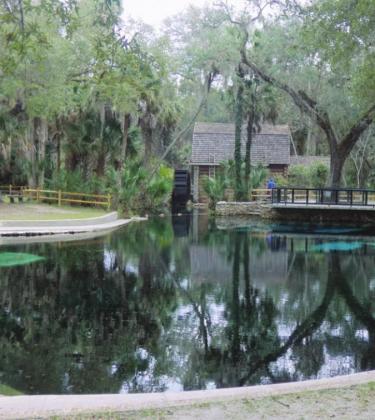 The water from Juniper Springs exits the pool via a waterwheel at the millhouse built by the CCC in 1936.
