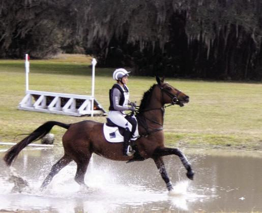 Some horses and riders seem to actually enjoy splashing through the water. The horse has to trust his rider because he cannot tell how deep the water is until already committed to the jump.