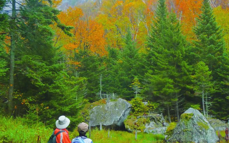 “Fall in the Adirondacks” by Lou McLove, Toledo