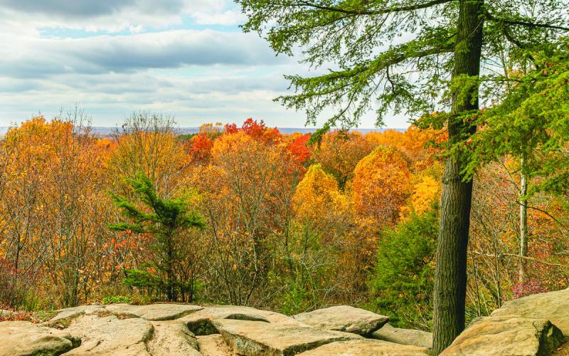“Cuyahoga Valley” by Sue Colvin, Perrysburg