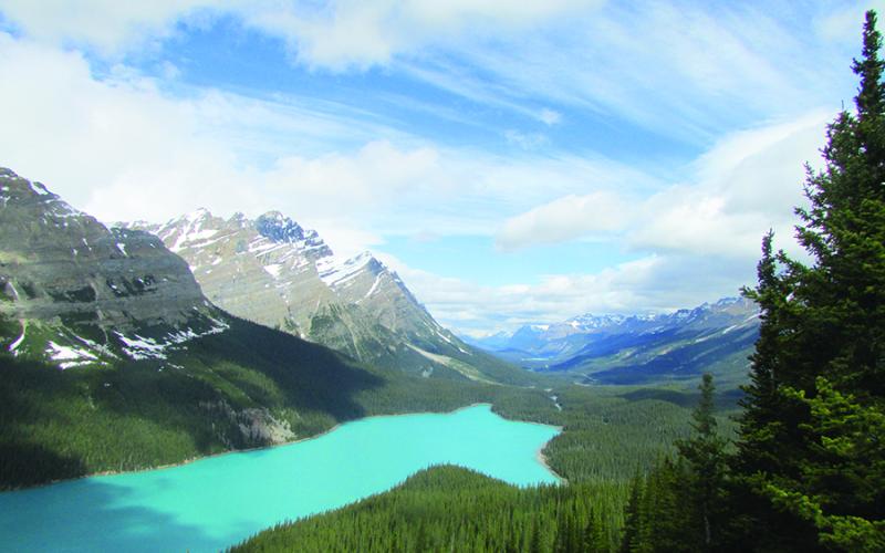 The water of Peyto Lake is normally pale green because of “glacial flour” (finely crushed rock) suspended in it. The lake looks blue here because that is ice reflecting the sky in early June.