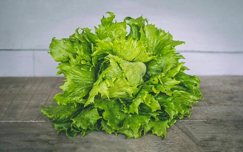 Cyclospora outbreak