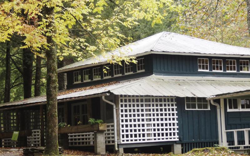 What appears to be a second floor is actually a raised roof to provide space for windows that increase natural lighting in the deep woods.