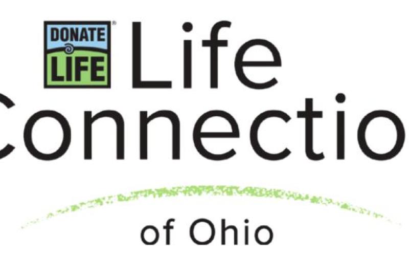 Alt Text for Image