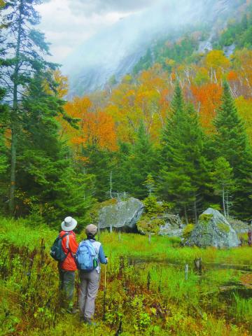 “Fall in the Adirondacks” by Lou McLove, Toledo