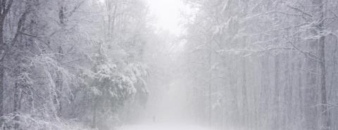 Lessons from the Great Blizzard of ’78