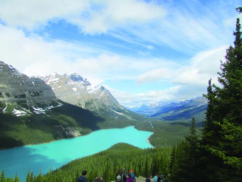 The water of Peyto Lake is normally pale green because of “glacial flour” (finely crushed rock) suspended in it. The lake looks blue here because that is ice reflecting the sky in early June.