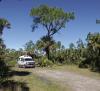 In Florida’s Big Cypress Preserve, the Bear Island campground with no facilities is reached via 24 miles of gravel road. Spent one week last winter. Two weeks this winter.