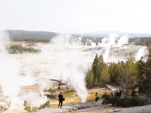 Norris Geyser Basin has numerous features worth your attention but not worth risking your life by getting off the boardwalk for a close look. 