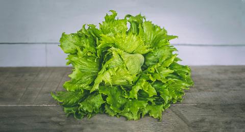 Cyclospora outbreak 