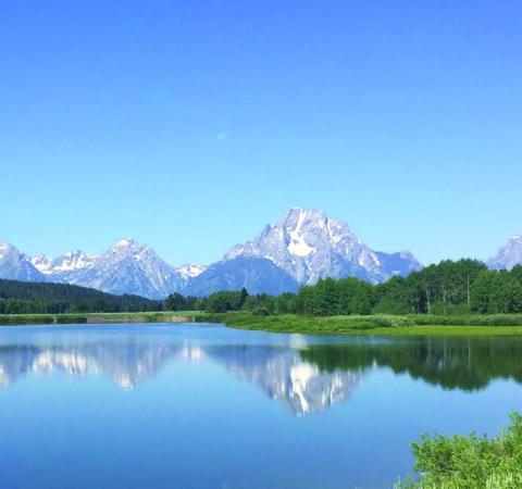 The Oxbow Bend of the Snake River is a popular destination right on the Loop Road. The main challenge is finding a place to park.