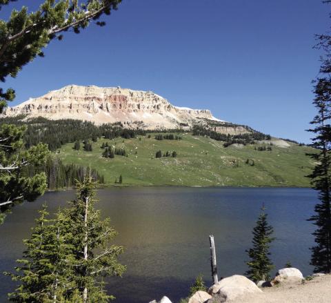 Would you complain that there was “nothing to see” if no bison or bears showed up in a place like this?