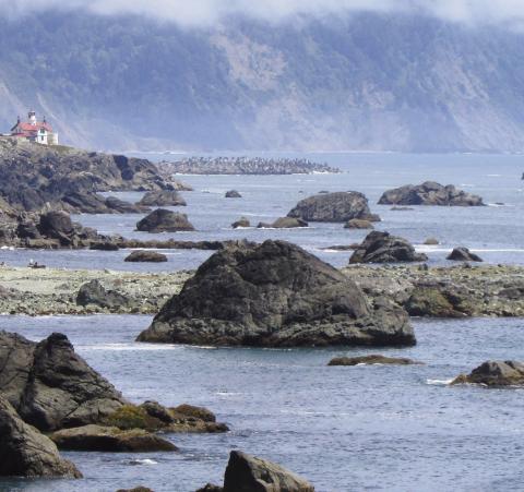 Fog and rocks are why there are so many lighthouses.